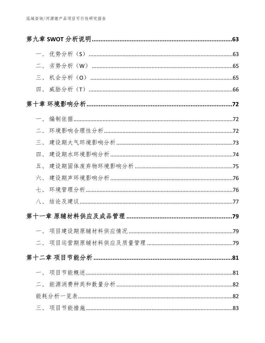 河源锂产品项目可行性研究报告（模板范文）_第3页