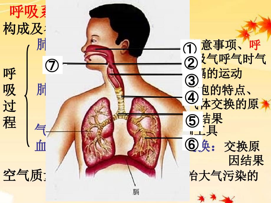 人类从哪里来_第4页