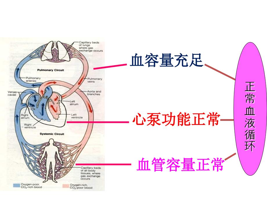 低血容量休克复苏指南及新进展课件_第3页