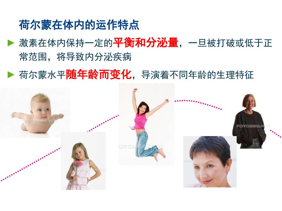 荷尔蒙 一生的朋友.ppt_第4页