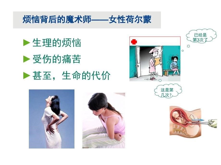 荷尔蒙 一生的朋友.ppt_第5页