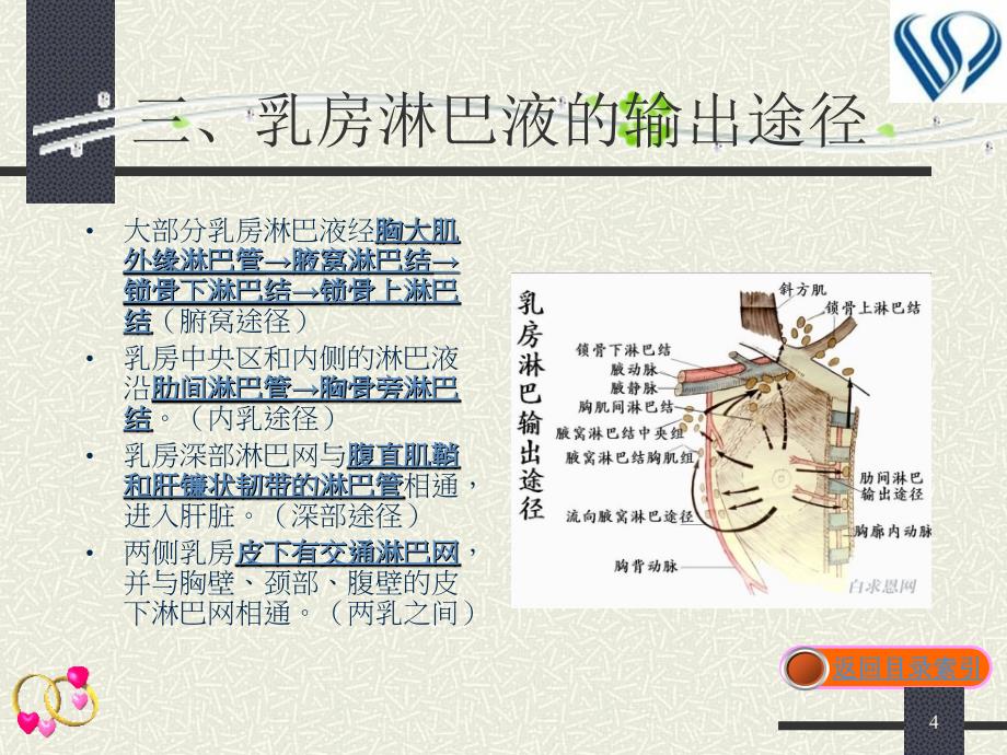 最新：乳腺疾病病人的护理刘耀深文档资料_第4页