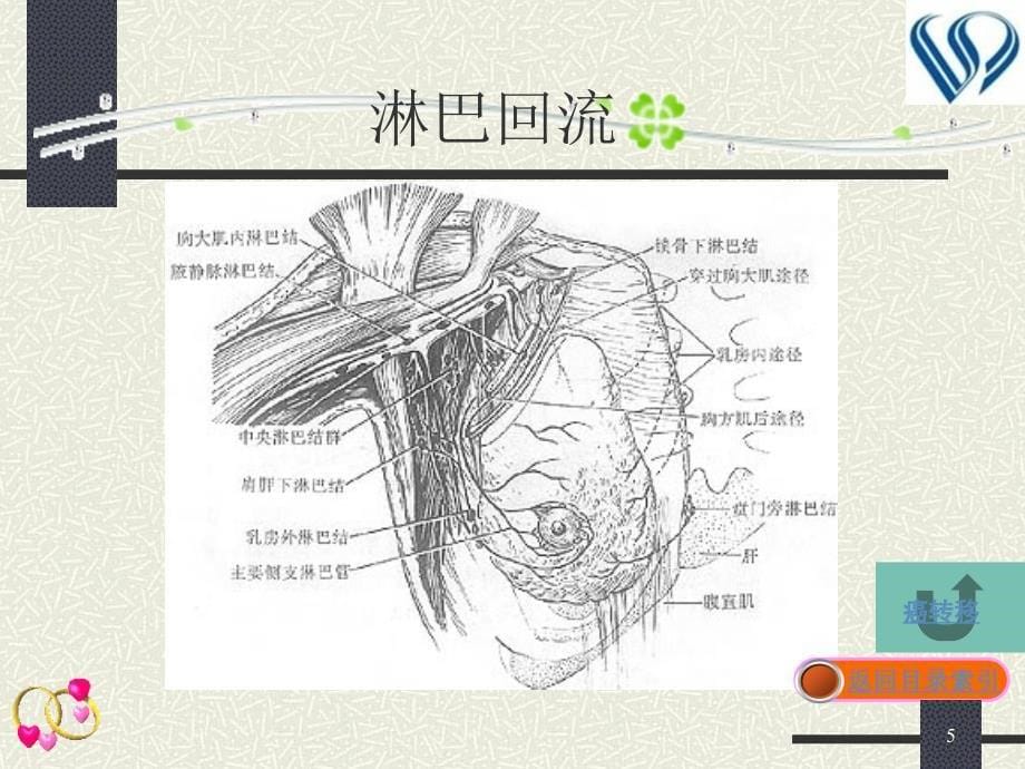 最新：乳腺疾病病人的护理刘耀深文档资料_第5页