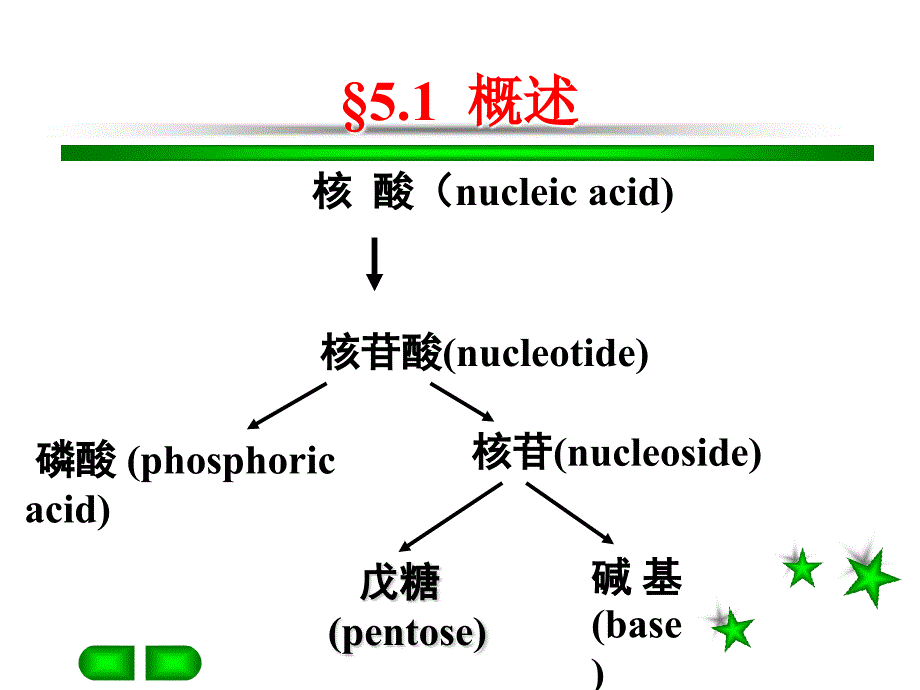 《核酸的提取分离》PPT课件.ppt_第3页