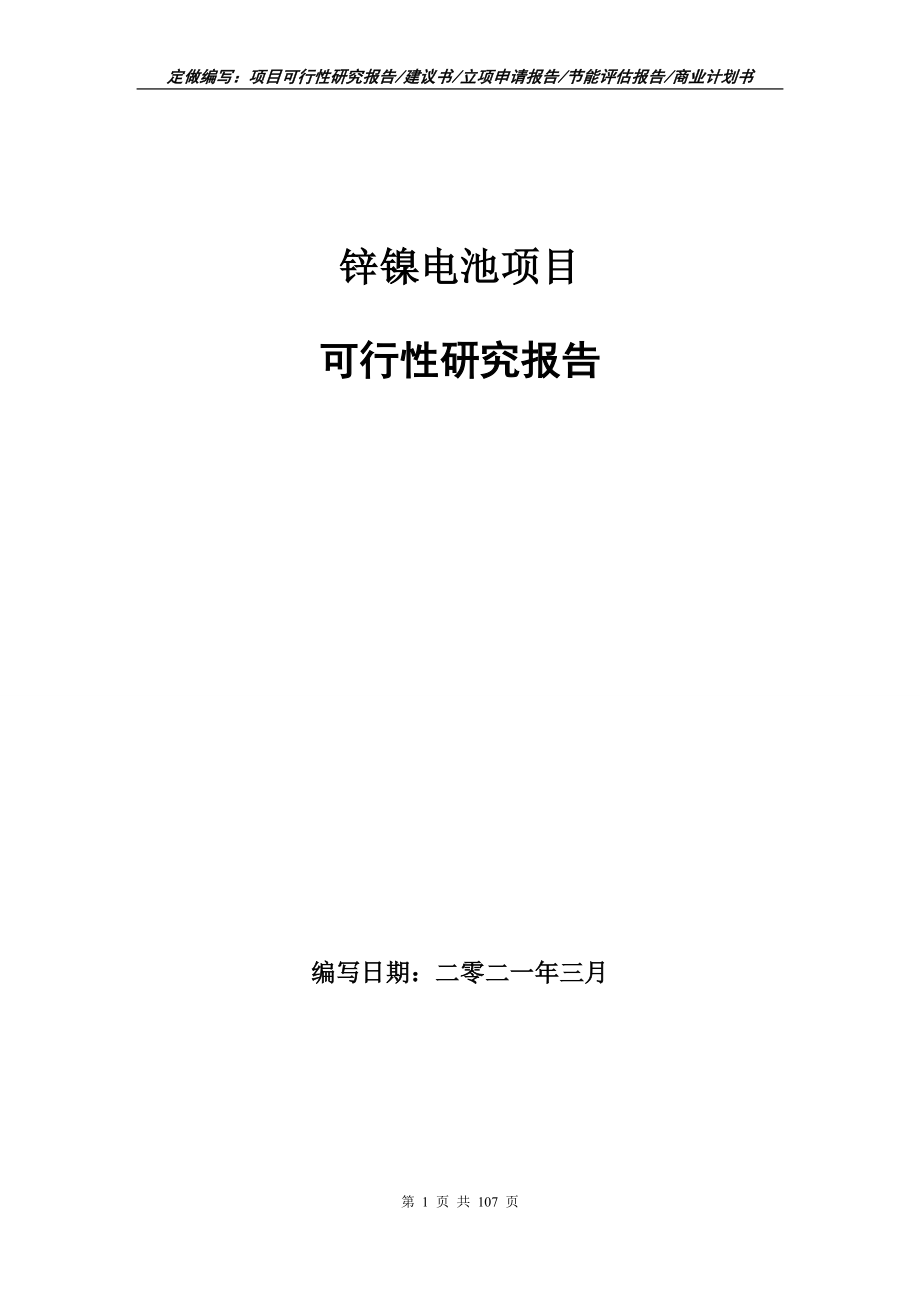 锌镍电池项目可行性研究报告立项申请_第1页