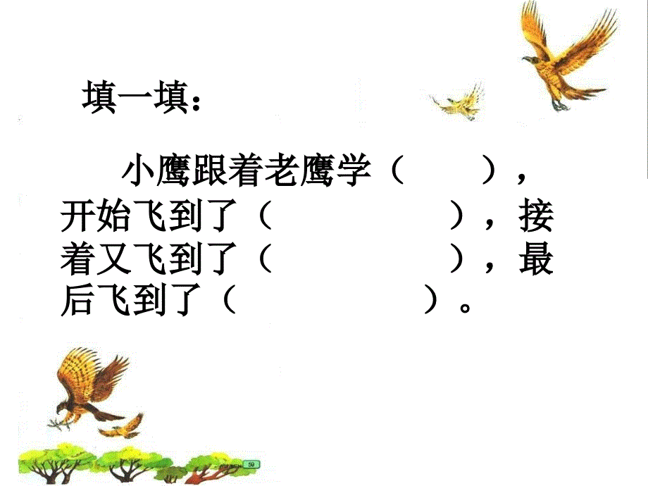 小鹰学飞课件_第2页