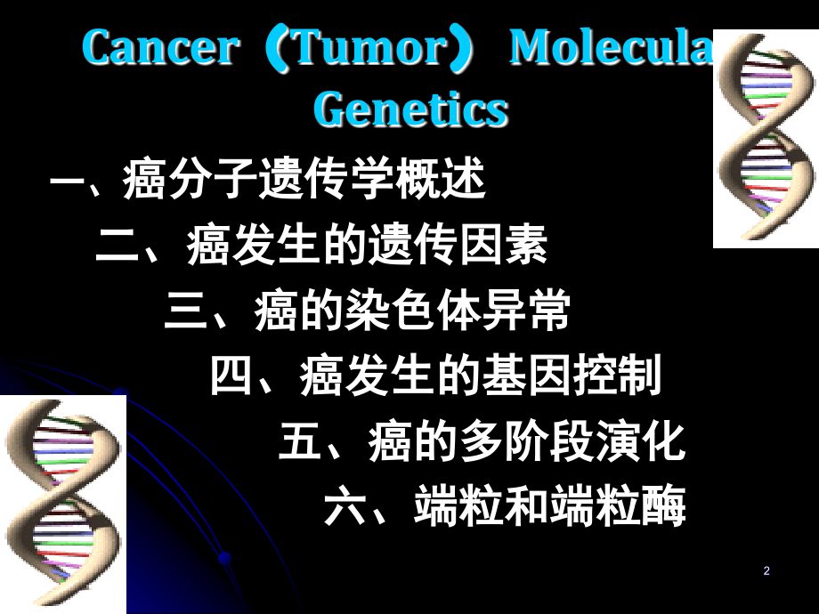 《癌肿瘤遗传学》.ppt_第2页