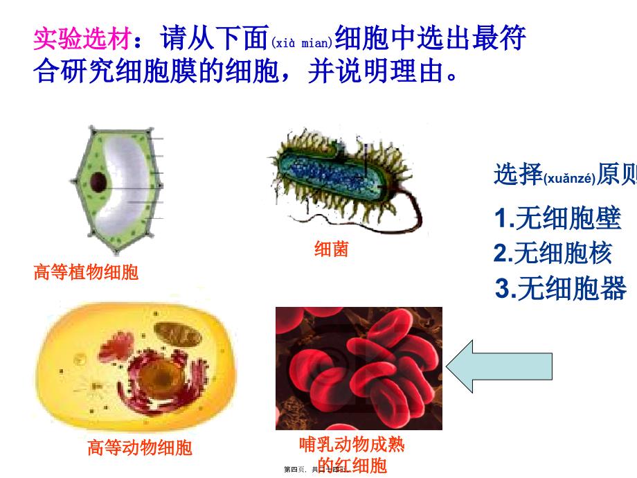 医学专题—细胞膜—系统的边界_第4页