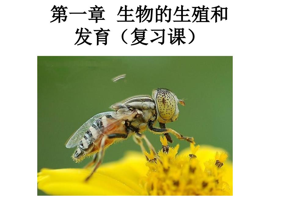 八年级下册第一章复习生物_第1页