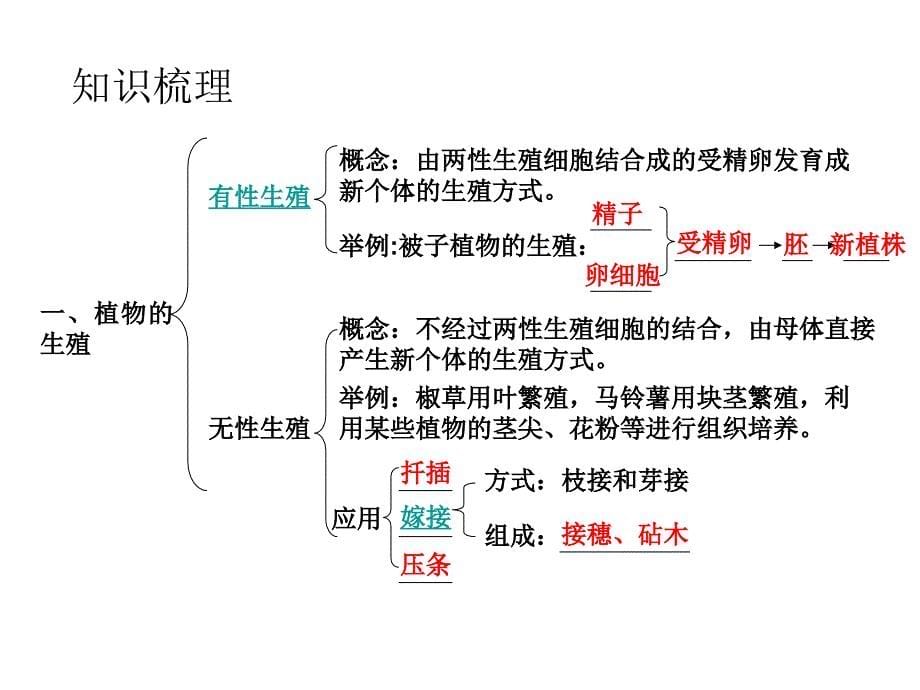 八年级下册第一章复习生物_第5页