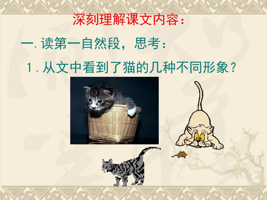 猫的课件演示PPT_第3页