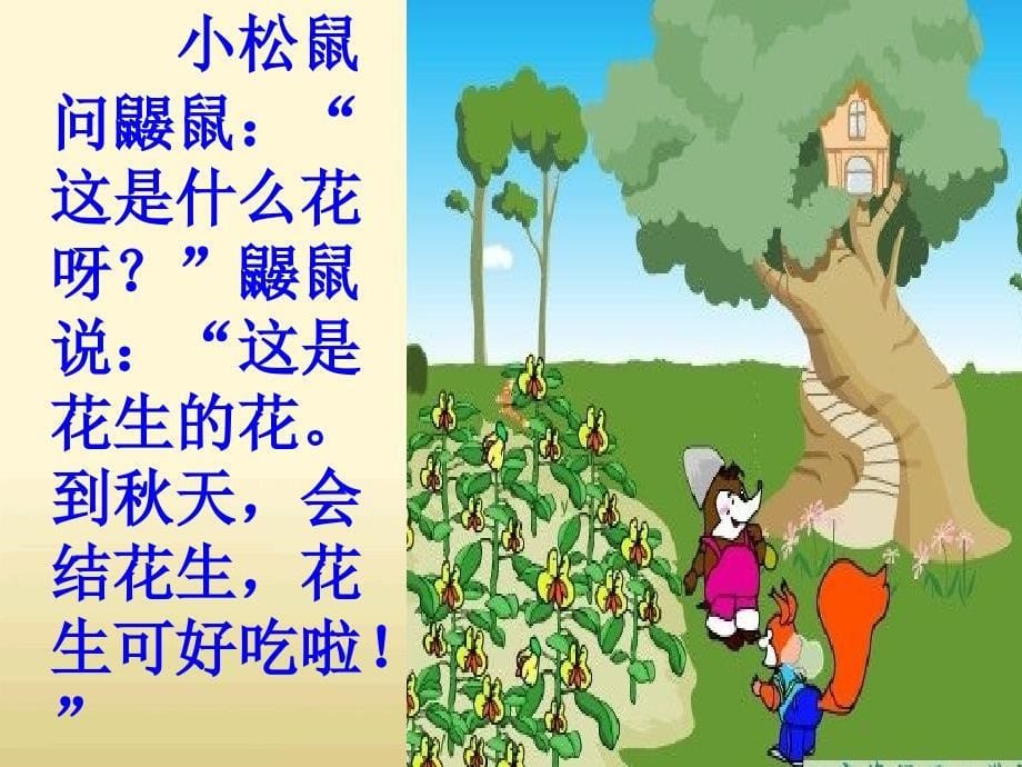 《小松鼠找花生》教学课件 (2)_第5页