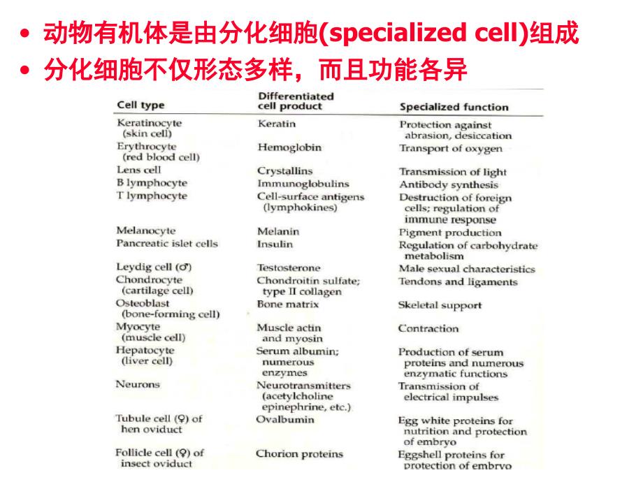 发育生物学——细胞命运决定#学习资料_第2页