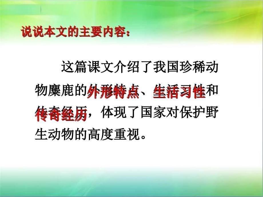 苏教版六年级上册语文17《麋鹿》课件_第5页