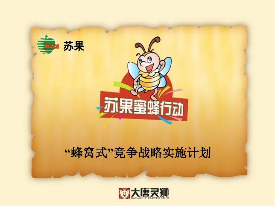 苏果超市蜂窝式竞争战略实施计划_第1页
