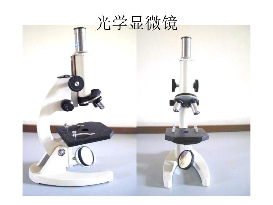 走近细胞教学PPT课件_第2页