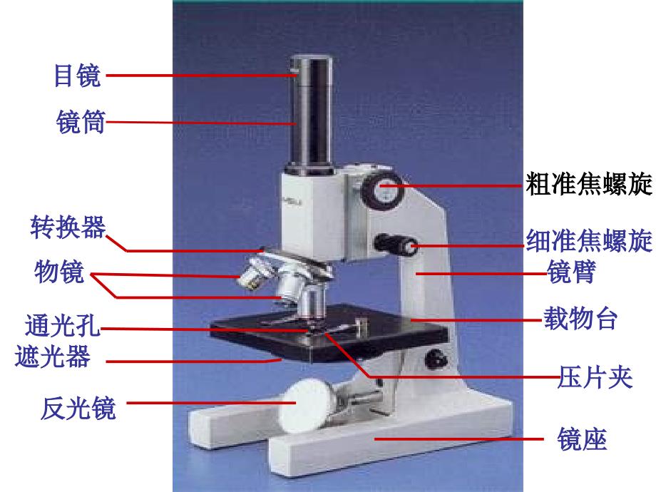 走近细胞教学PPT课件_第4页