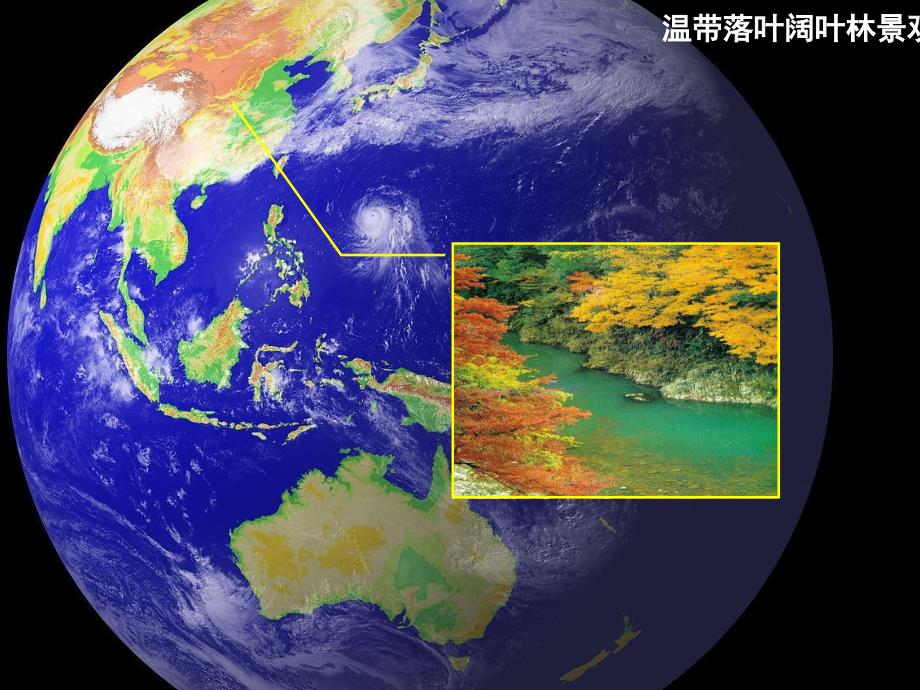 世界气候类型的分布_第4页