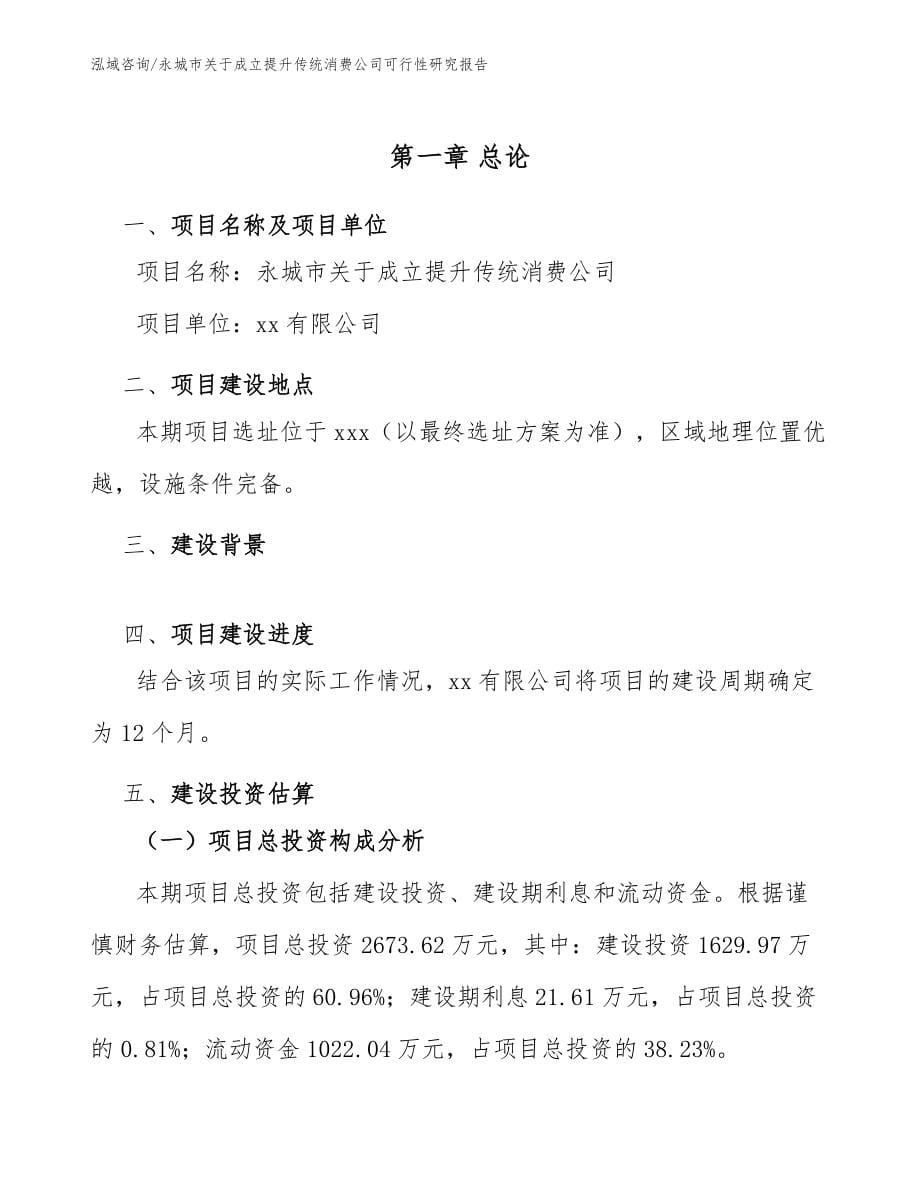 永城市关于成立提升传统消费公司可行性研究报告（范文模板）_第5页