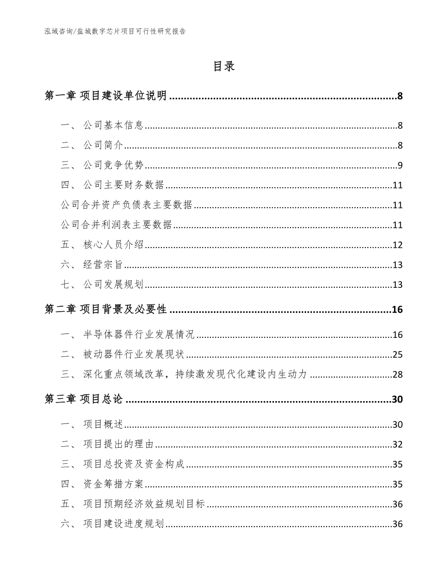 盐城数字芯片项目可行性研究报告【模板】_第2页