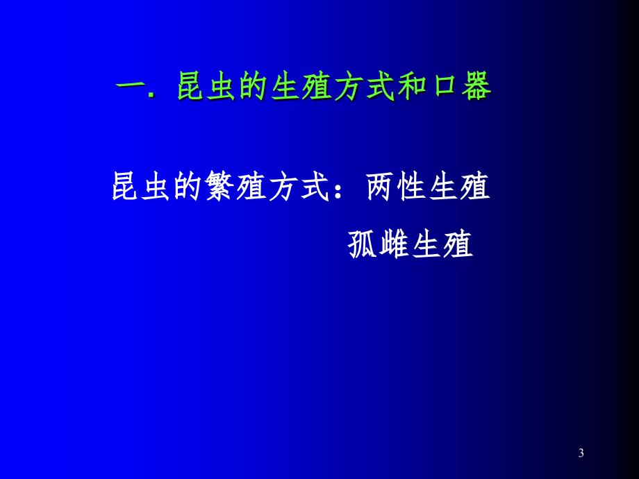 昆虫基础幻灯片_第3页