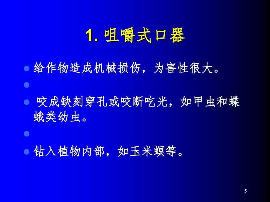 昆虫基础幻灯片_第5页