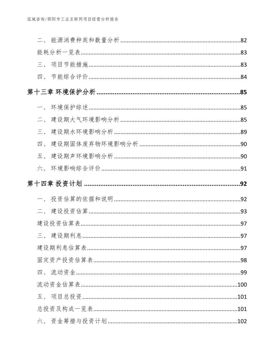 邵阳市工业互联网项目经营分析报告模板范文_第5页