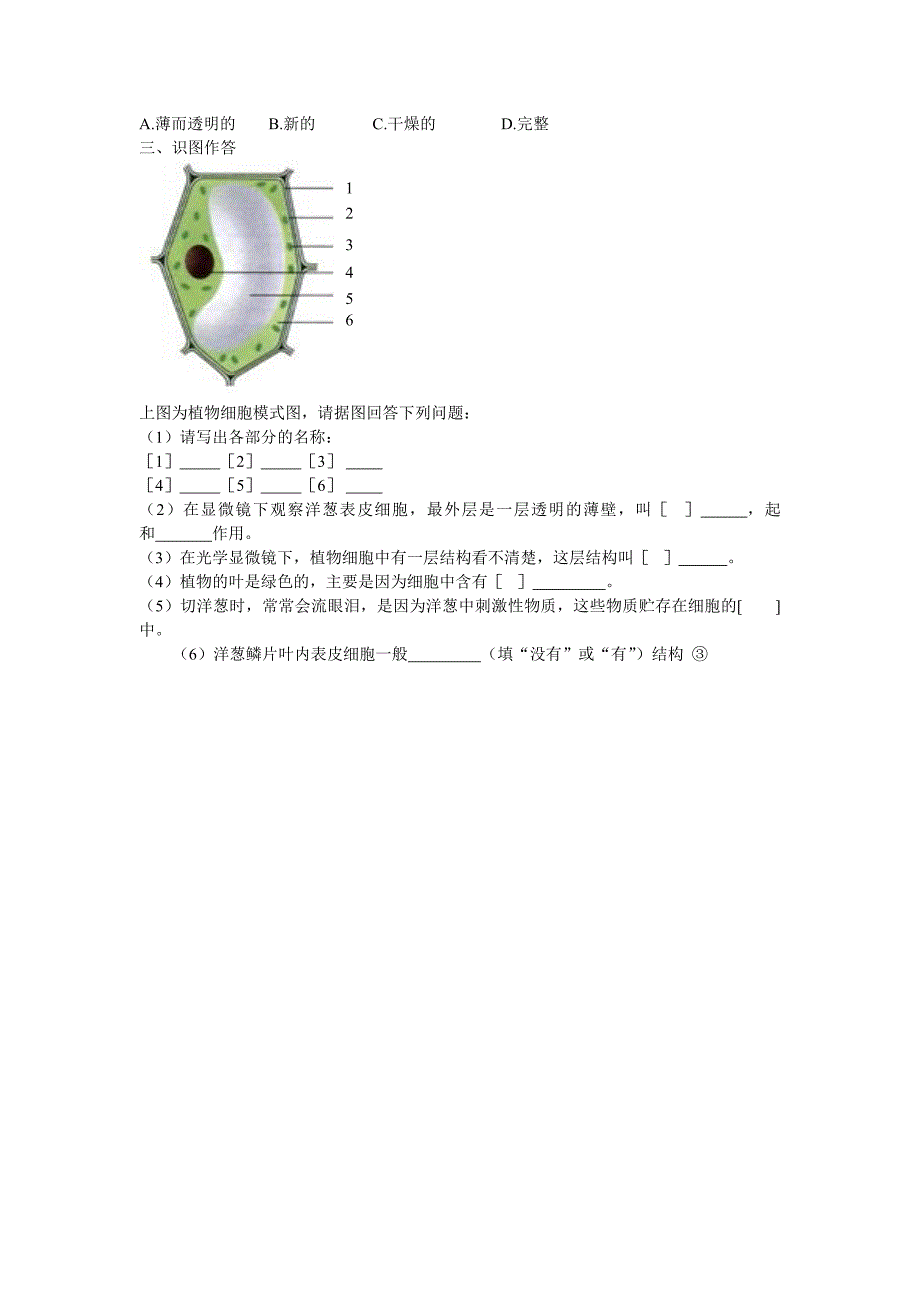 第二节植物细胞测试卷_第2页