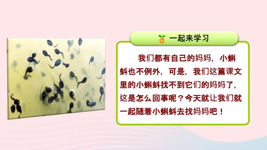 最新二年级语文上册课文11小蝌蚪找妈妈第一课时课件新人教版新人教级上册语文课件_第3页