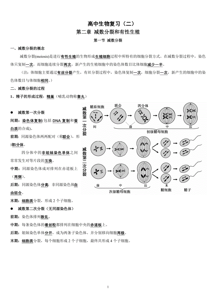 (完整word版)高中生物必修二复习提纲人教版.doc_第1页
