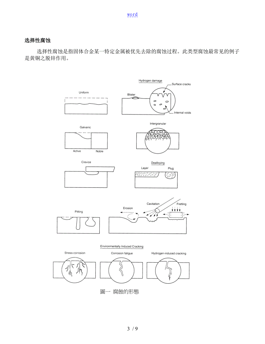 腐蚀电化学实验资料报告材料_第3页