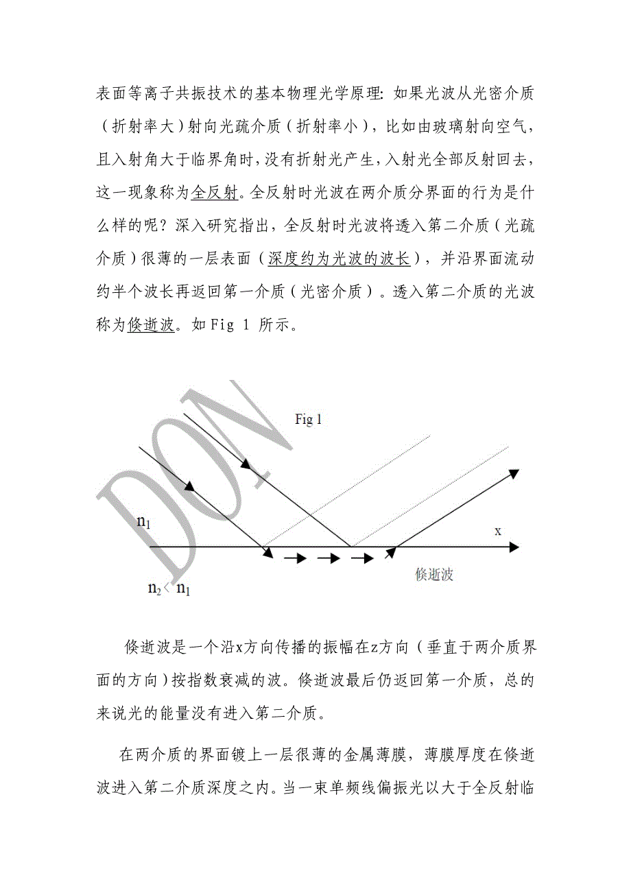 表面等离子共振的原理及在生物医学中的应用_第2页