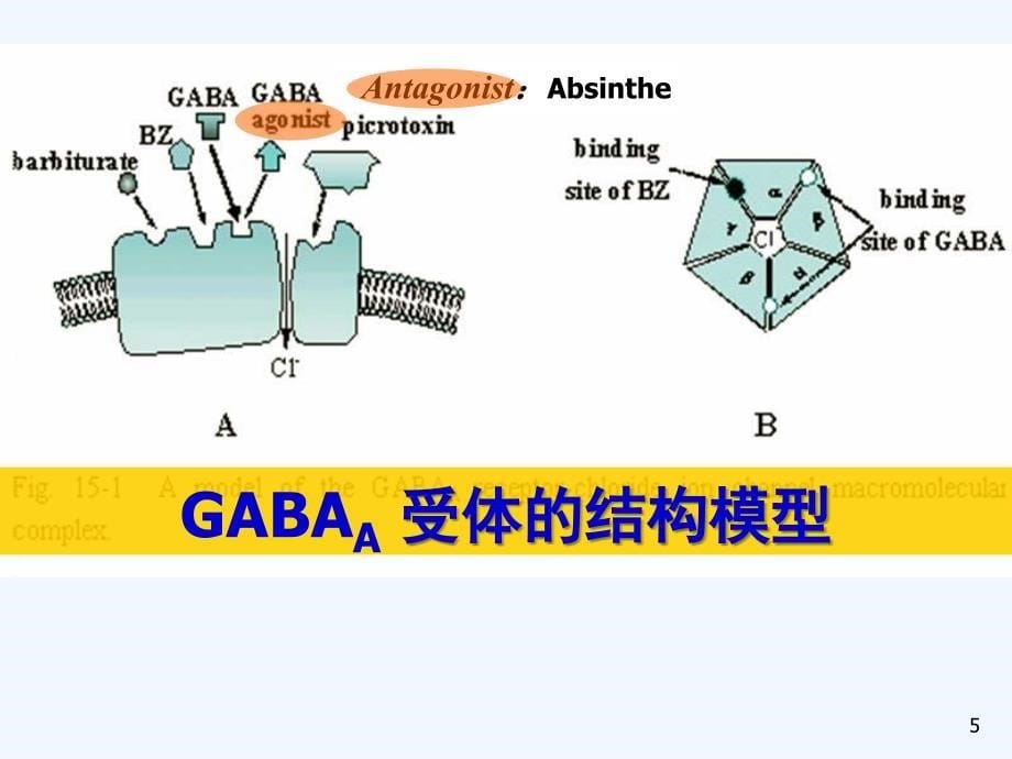 中枢神经系统药物pt_第5页