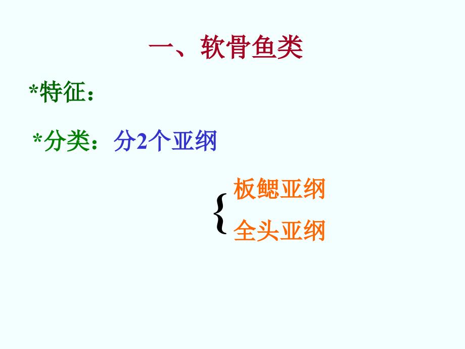 16鱼纲分类备用_第2页