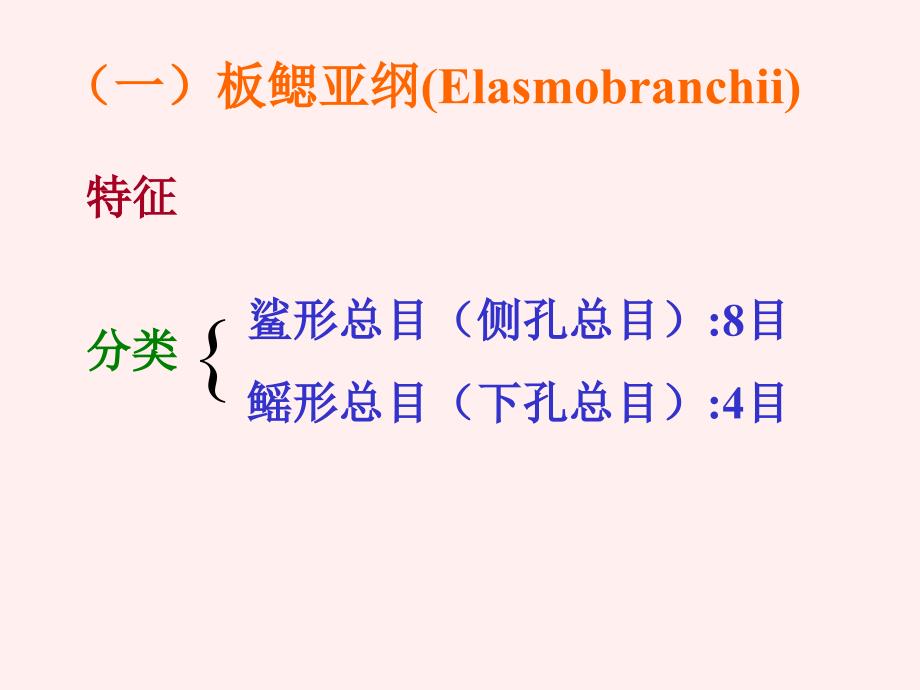 16鱼纲分类备用_第3页