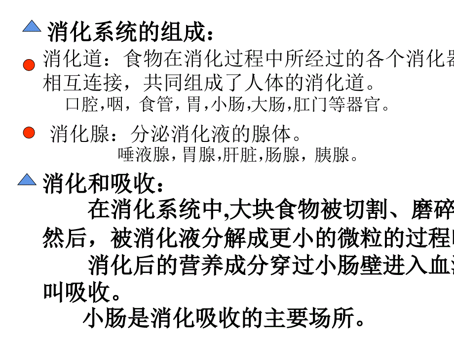 六年级科学下册课件5消化与吸收冀人版共10张PPT_第4页