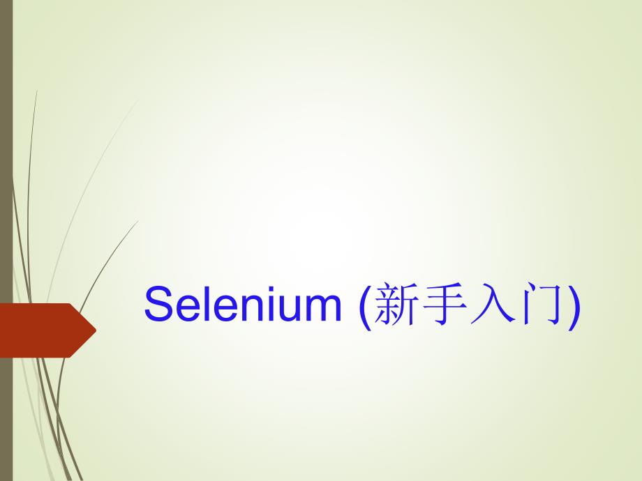 selenium安装教程_第1页