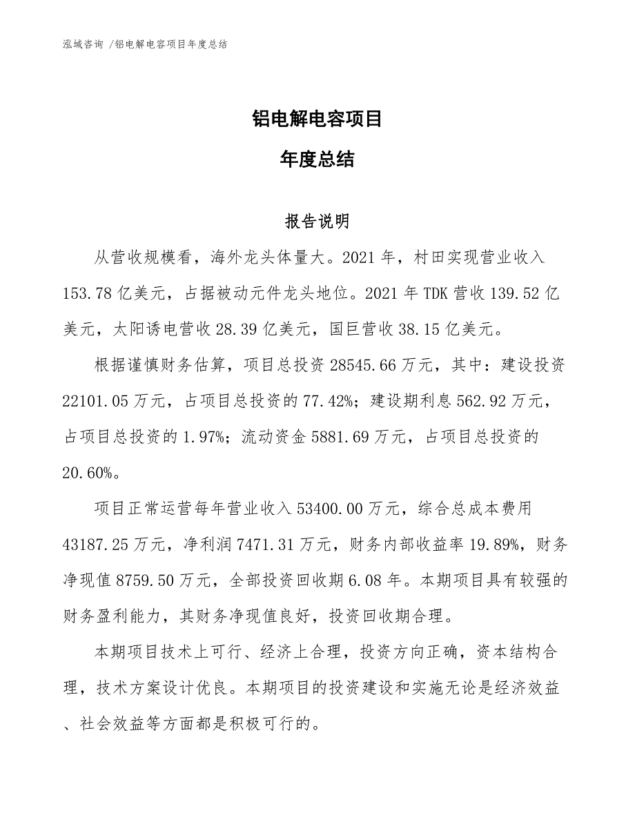 铝电解电容项目年度总结【模板】_第1页