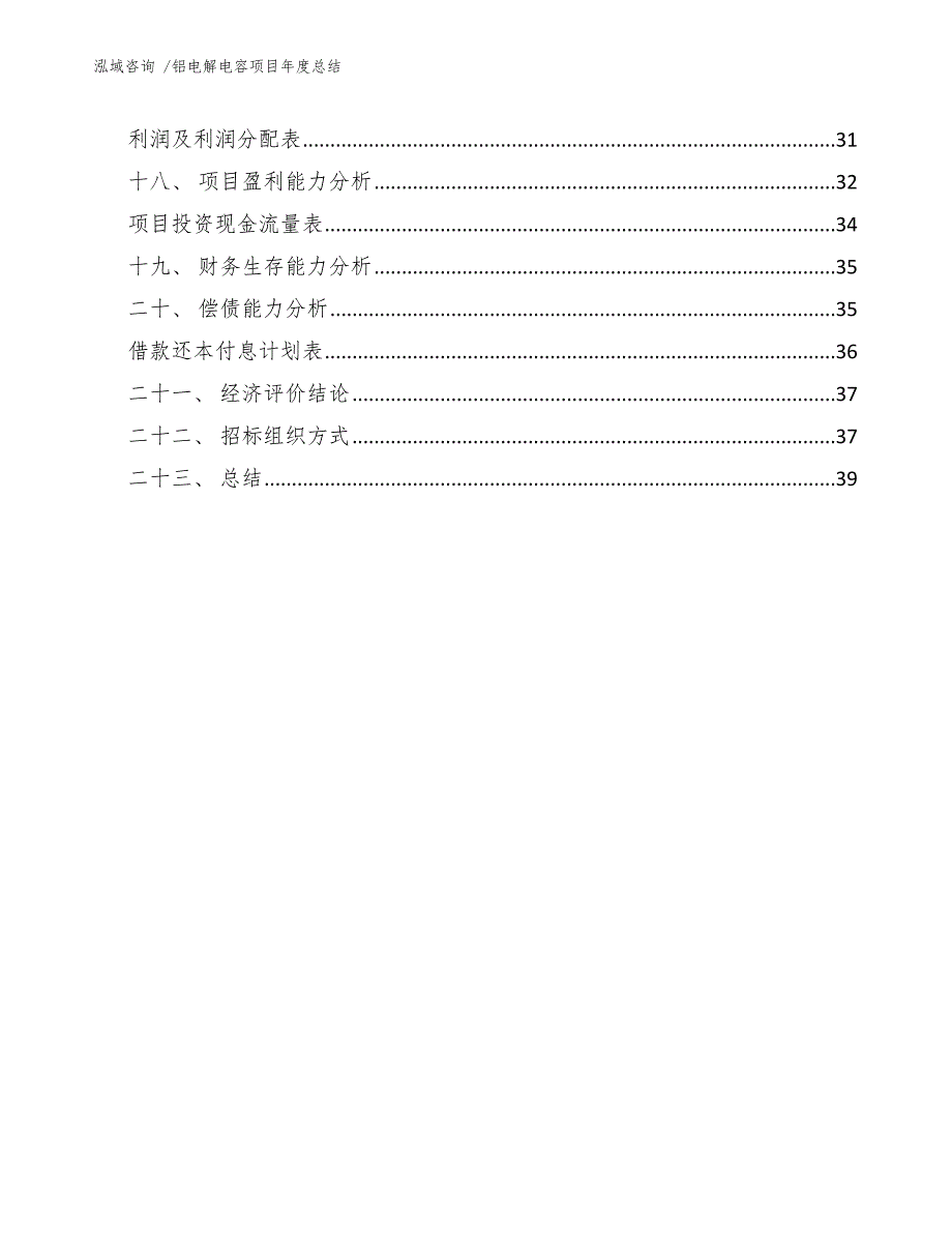 铝电解电容项目年度总结【模板】_第3页