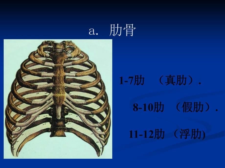 胸部外伤的急救详解_第5页