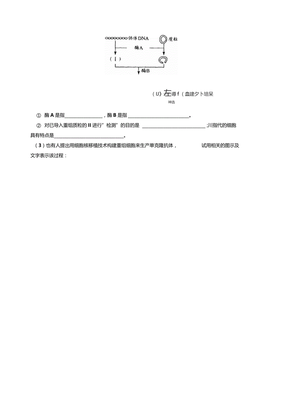 选修三基因工程测试题_第4页