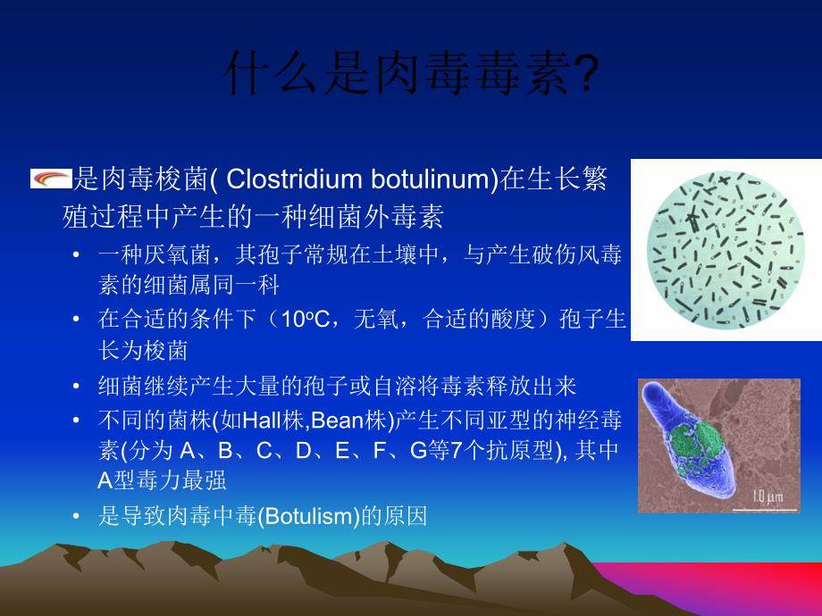 痉挛肉毒素注射治疗PPT课件_第3页