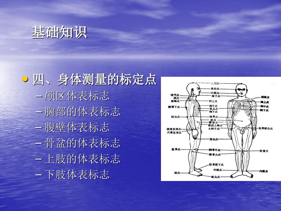 《身体形态的评价》PPT课件_第4页