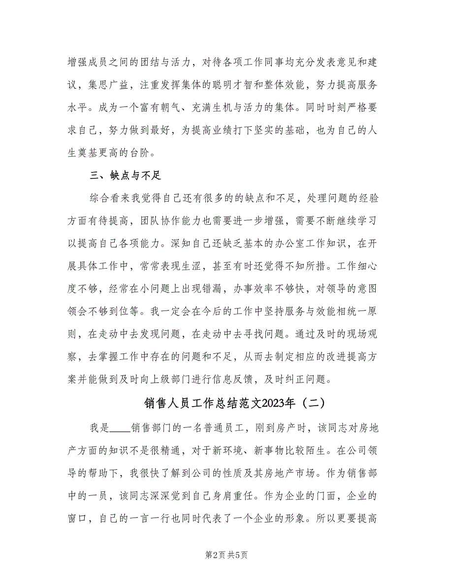 销售人员工作总结范文2023年（3篇）_第2页