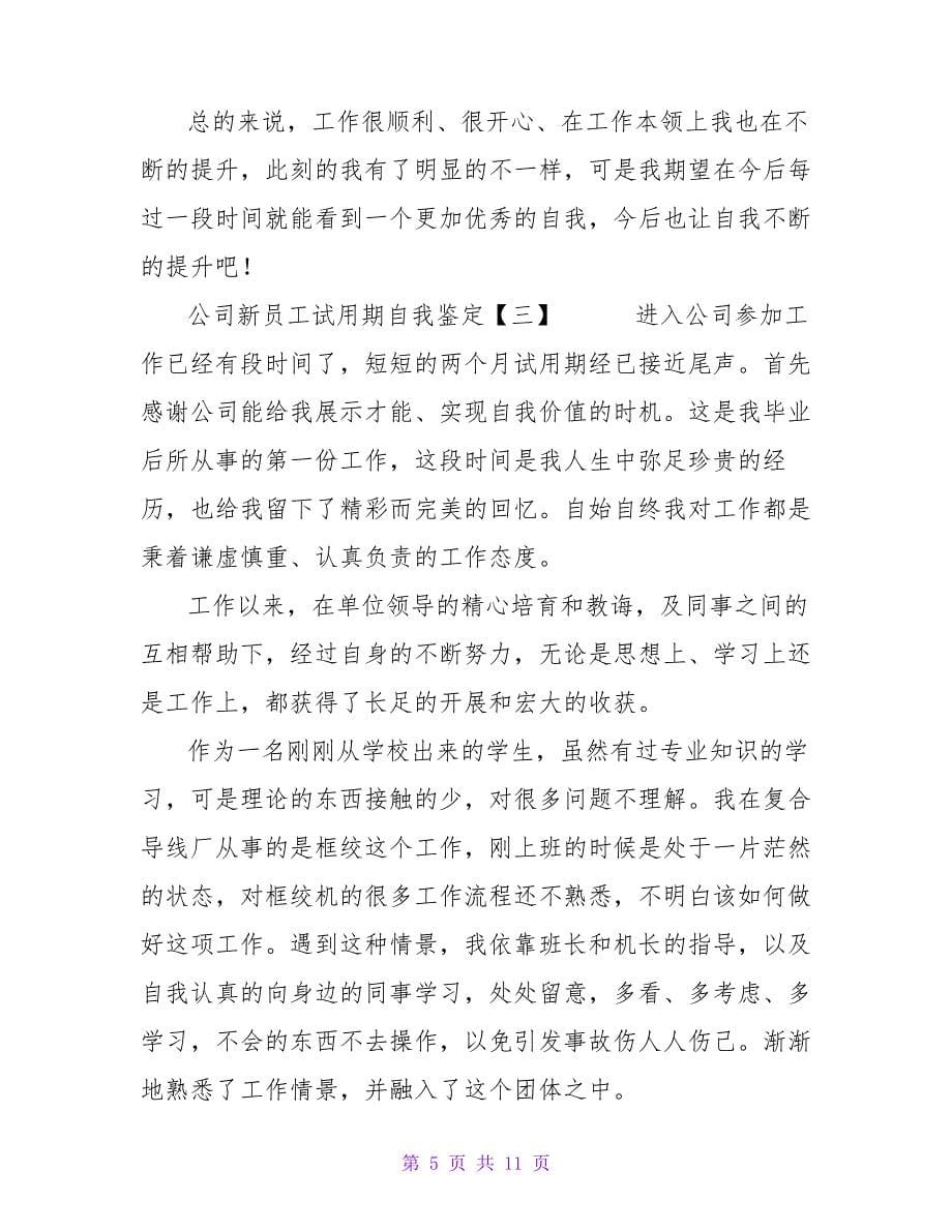 公司新员工试用期自我鉴定_第5页