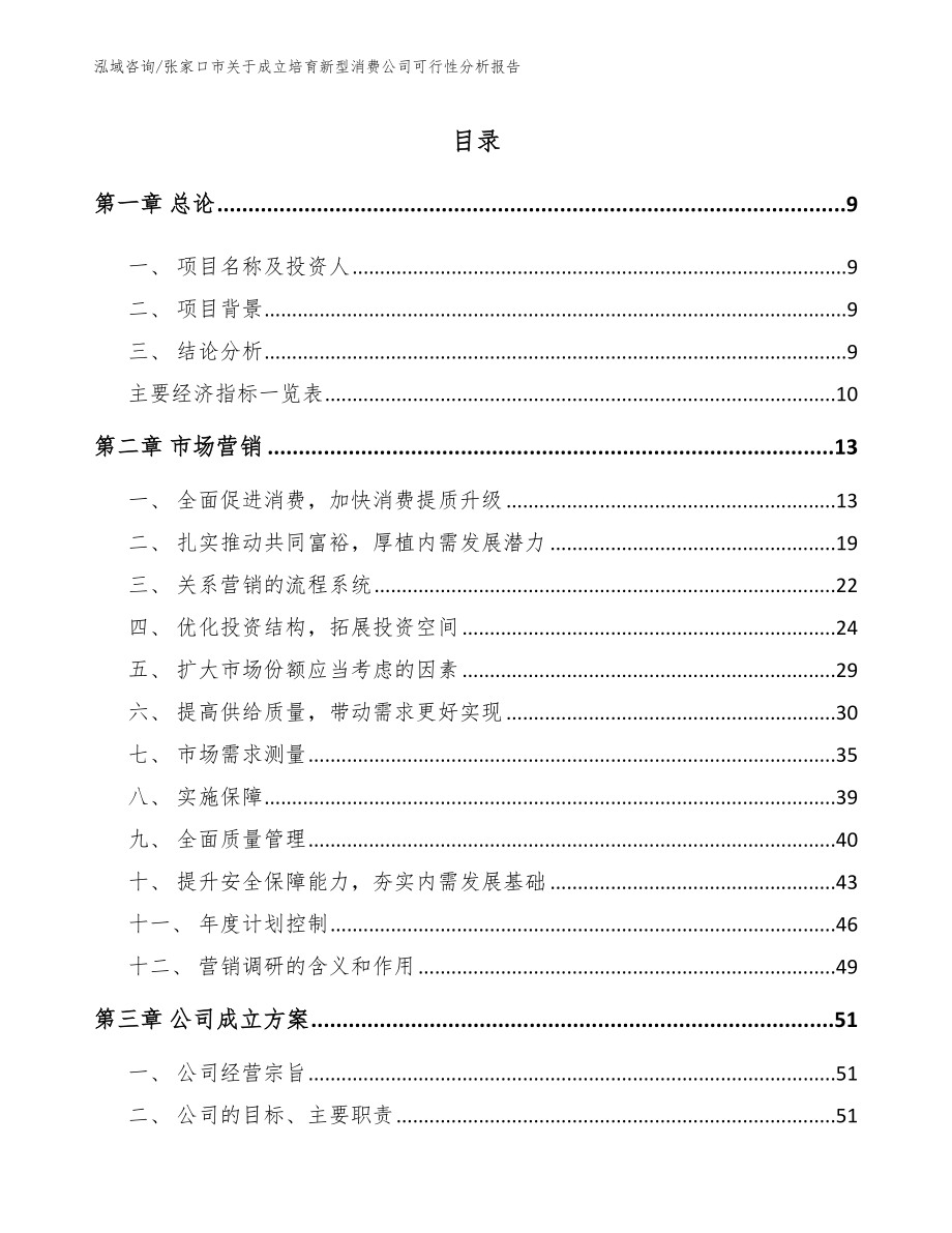 张家口市关于成立培育新型消费公司可行性分析报告模板参考_第2页