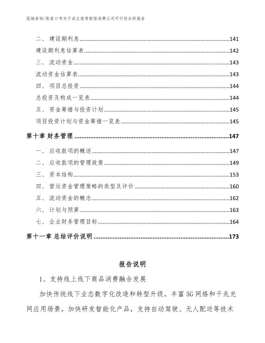 张家口市关于成立培育新型消费公司可行性分析报告模板参考_第5页