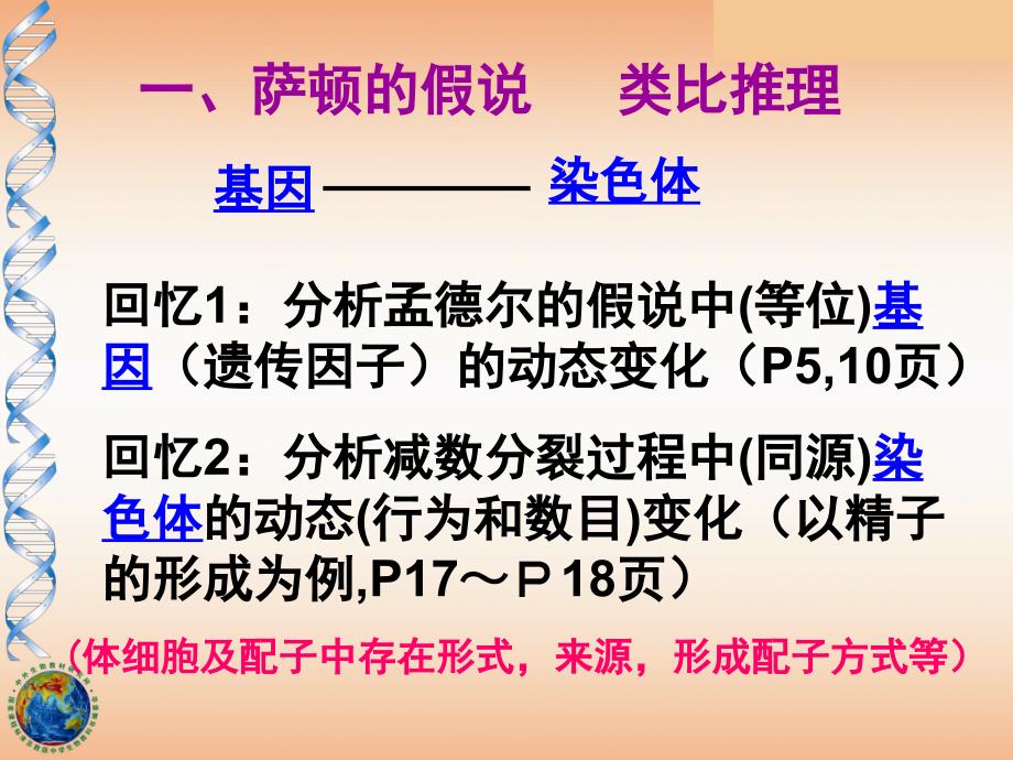 22基因在染色体上课件周波_第2页