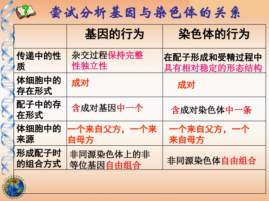 22基因在染色体上课件周波_第3页