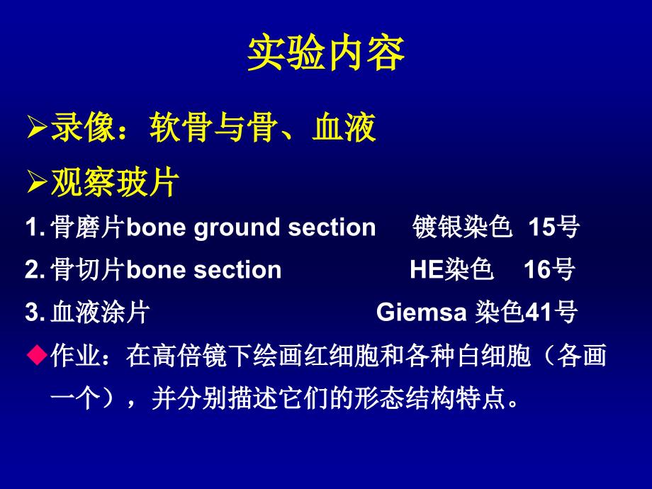 实验三骨与血液组织胚胎学课件_第3页